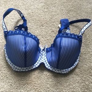 B. Tempted bra size 34d